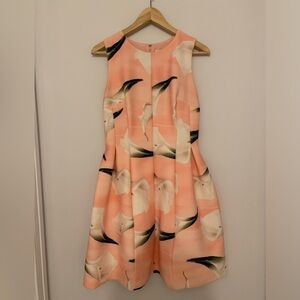 Calvin Klein Women’s fit, and flare calla lily print dress, size 8